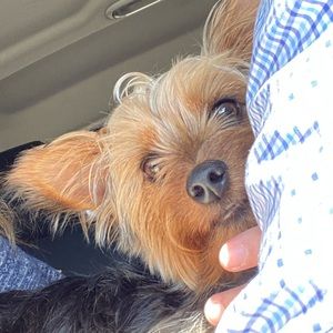 Meet your Posher, Stacie